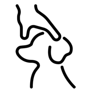 piktogram